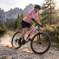Dámsky horský bicykel ATTABO ALPE 2.0 29" pink 16