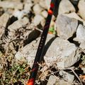Trekingové palice KADVA Tengri nastaviteľné červené 13
