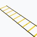 Koordinačné rebriny OneTeam S-AG LADDER 6M yellow