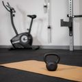 Liatinový kettlebell TREXO 10kg black 6
