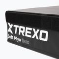 Plyometrická skrinka skladacia TREXO 15 cm black 3