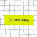 Bránka OneTeam Flex Square 500 x 200 cm green 5