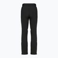 Dámske lyžiarske nohavice DISUMER Alpine Pants WMNS Black 12