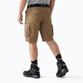 Pánske šortky KADVA PathGear brown 2