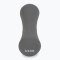 Neoprénová činka XTREXO TX0-B4M007 0,5 kg sivá 3
