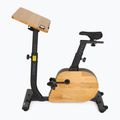 Elektrobicykel XTREXO EB400-desk black 3