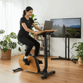 Elektrobicykel XTREXO EB400-desk black 11