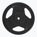 Liatinový kotúč TREXO TRX-ICP025 25 kg chróm 2
