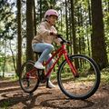 Detský bicykel ATTABO EASE 24" red 4