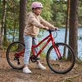 Detský bicykel ATTABO EASE 24" red 6