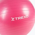 XTREXO Gymball TXO-B4Z007-PK 55 cm ružová 5