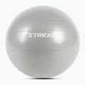 TREXO Gymball TXO-B4Z007-GY 55 cm sivá