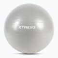 XTREXO Gymball TXO-B4Z008-GY 65 cm sivá