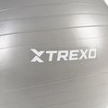 XTREXO Gymball TXO-B4Z008-GY 65 cm sivá 6