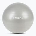 XTREXO Gymball TXO-B4Z009-GY 75 cm sivá
