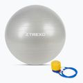 TREXO Gymball TXO-B4Z009-GY 75 cm sivá 5