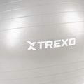 XTREXO Gymball TXO-B4Z009-GY 75 cm sivá 6