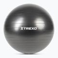 TREXO Gymball TXO-B4Z009-BK 75 cm čierna