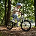 Detský bicykel ATTABO EASE 16" B strieborný 5