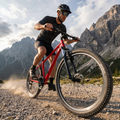 Pánsky horský bicykel ATTABO ALPE 1.0 19" červený 5