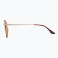 Slnečné okuliare GOG Elektra matt brown demi/gold 3