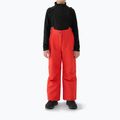 Detské lyžiarske nohavice 4F Fnk M0949 red