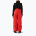 Detské lyžiarske nohavice 4F Fnk M0949 red 2