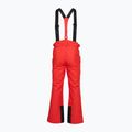 Pánske lyžiarske nohavice 4F Fnk M1155 red 2