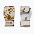 Boxerské rukavice StormCloud Bolt 3.0 white/gold