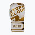 Boxerské rukavice StormCloud Bolt 3.0 white/gold 4