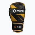 Boxerské rukavice StormCloud Lynx 2.0 black/gold 4