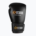 Boxerské rukavice StormCloud Muay Thai Blizzard 2.0 black/white 2