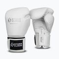 Boxerské rukavice StormCloud Muay Thai Blizzard 2.0 white/silver
