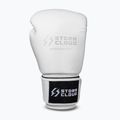 Boxerské rukavice StormCloud Muay Thai Blizzard 2.0 white/silver 2