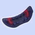 Masážny prístroj Media-Tech Matrix Eye navy blue 7