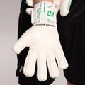 Brankárske rukavice Football Masters Varis X NC white/green 7