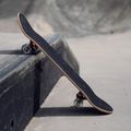 Mechanics profesionálny klasický skateboard SPIDER 31 modrý Pro-SP31 9