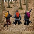 Turistický batoh Alpinus Tarfala 35 l mustard 4