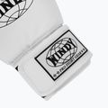 Boxerské rukavice WINDY Classic Synthetic Leather white 6