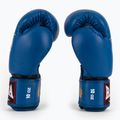 Boxerské rukavice RAJA BOXING Single Standard Genuine Leather blue 4