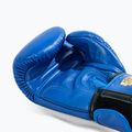 Boxerské rukavice RAJA BOXING Single Standard Genuine Leather blue 4