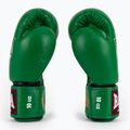 Boxerské rukavice RAJA BOXING Single Standard Genuine Leather green 4
