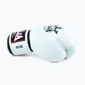 Boxerské rukavice RAJA BOXING Single Standard Genuine Leather white 4