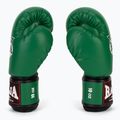 Boxerské rukavice RAJA BOXING Single Semi Leather green 4