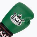 Boxerské rukavice RAJA BOXING Single Semi Leather green 5