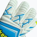 Brankárske rukavice 4keepers Force V1.25 FURY HNC modré 4