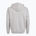 Pánska mikina PROSTO Hoodie Logo Zip gray 2