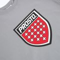 Pánska mikina PROSTO Big Shield Crewneck gray 3