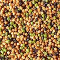 Pelety do kŕmidla Prestige Fish Meal Sweet 2 mm 800 g FB11-10 2