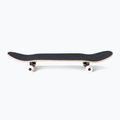 Globe Goodstock klasický skateboard 2